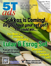 5 Towns Ads e-Mag 1-12